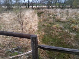 /cors caron left side no grazing molinia dominated right side grazed much more diverse