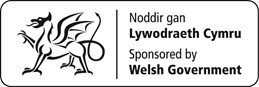 Welsh Govt logo