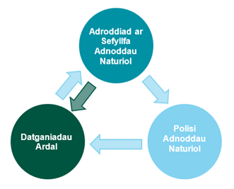 Adroddiad ar sefyllfa adnoddau naturiol, polisi adnoddau naturiol, datganiadau ardal