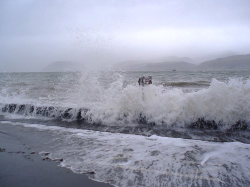 Tonnau storm yn torri dros amddiffynfeydd glan môr ac arwydd ffordd