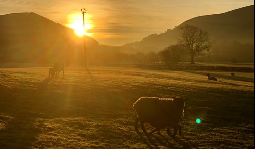 Machlud haul yn erbyn y bryniau gyda defaid yn y blaendir