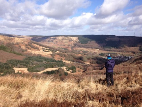 Golygfa o Treherbert gyda cherddwr