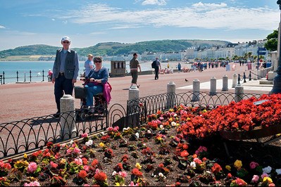 Pobl yn cerdded ar hyd promenâd Llandudno