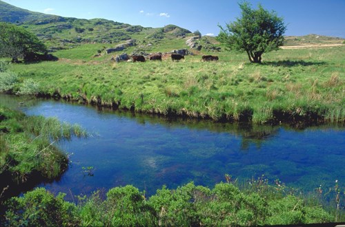 Meirionnydd traditional family farm