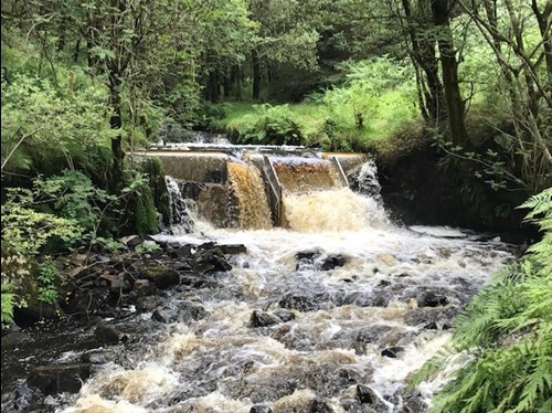 Garwnant hydro scheme on NRW Managed Estate