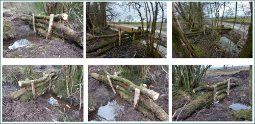 Image shows some of the leaky dams that were built as part of the scheme.