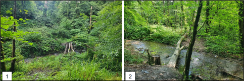 Figure 6: (1) and (2) in-channel woody deflectors.