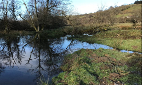 Figure 7: Flood storage pond created in the Upper Teme